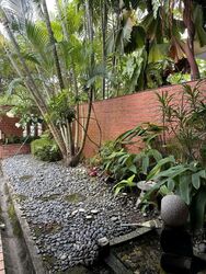 Richards Avenue (D19), Terrace #542931151